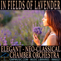 In Fields Of Lavender