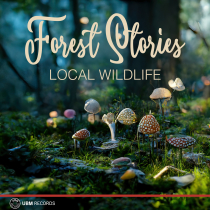 Forest Stories Local Wildlife