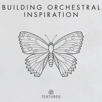 Building Orchestral Inspiration
