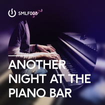 Another Night At The Piano Bar