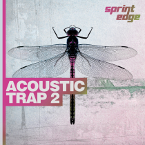 Acoustic Trap 2