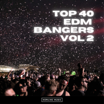 Top 40 EDM Bangers Vol 2