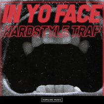 In Yo Face Aggressive Trap