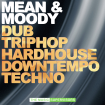 Mean and Moody Techno House Dub Trip Hop
