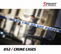 Crime Cases