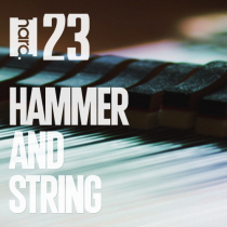 Hammer and String