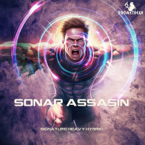 Sonar Assassin Signature Heavy Hybrid