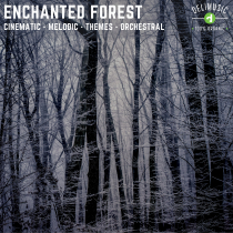 Enchanted Forest