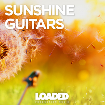 Sunshine Guitars