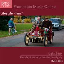 Lifestyle - Fun 1