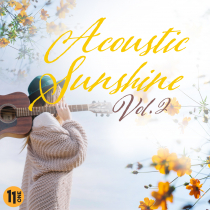 Acoustic Sunshine vol 2