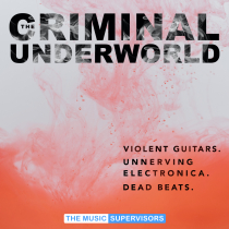 The Criminal Underworld