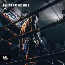 Guitar Matrix Vol 2