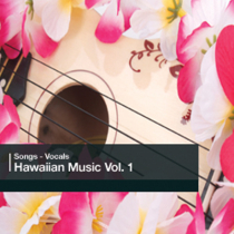 Hawaiian Music Vol 1