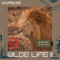 WildeLife Vol II