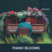 Piano Blooms