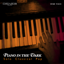 Piano In The Dark