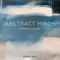 Abstract Minds