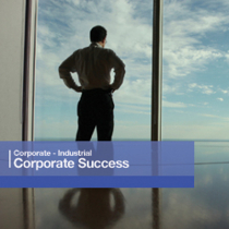 Corporate Success Vol 1