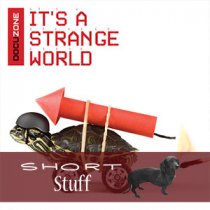 It's A Strange World Short Stuff