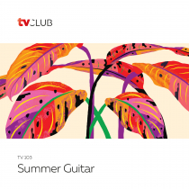 Summer Guitar