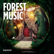 Forest Music