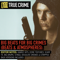 Big Beats For Big Crimes (Beats & Atmospheres)