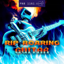 Rip Roaring Guitar