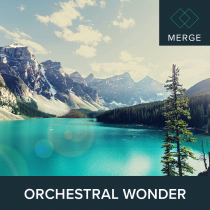 Orchestral Wonder