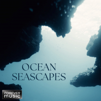 Oceanic Seascapes FRM-113