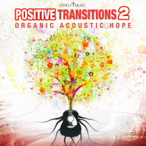 Positive Transitions 2, Organic Acoustic Hope