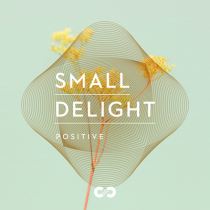 Positive, Small Delight