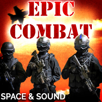 Epic Combat