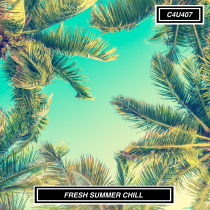 FRESH SUMMER CHILL