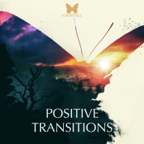 Positive Transitions