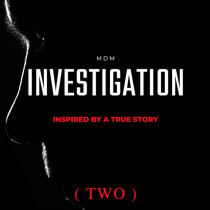 The Investigation two