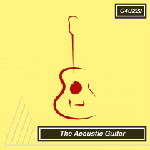 The Acoustic Guitar