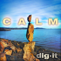 DGT-095 Calm