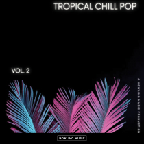 Tropical Chill Pop Vol 2