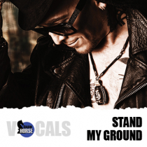 Stand My Ground