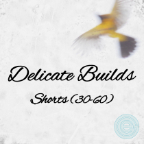 Delicate Builds Shorts