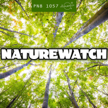 Naturewatch
