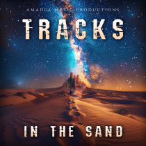 Tracks In The Sand - Cinematic Blues Guitar Underscores