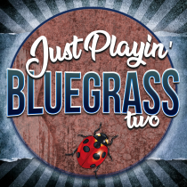 Just Playin - Bluegrass, Vol. 2