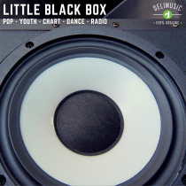 Little Black Box