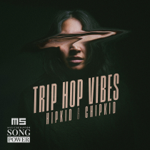 Trip Hop Vibes