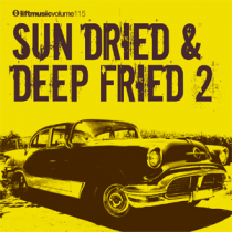 Sun Dried & Deep Fried 2