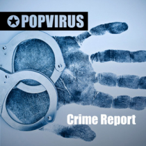 Crime Report