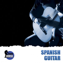 Spanish Guitar