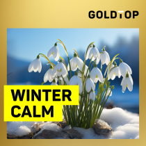 Winter Calm